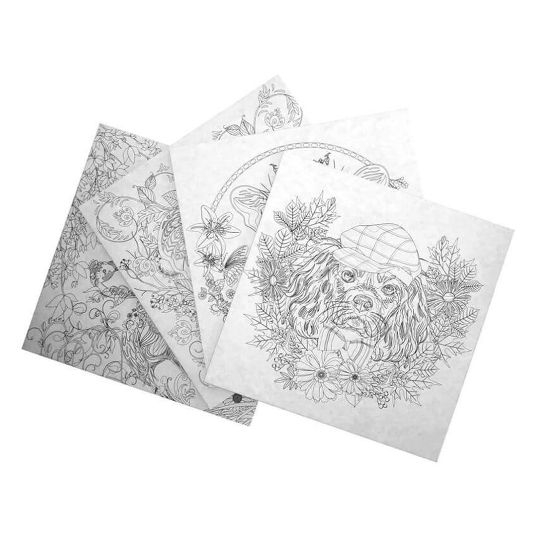 Phoenix Colouring Board Garden, 25x25 cm