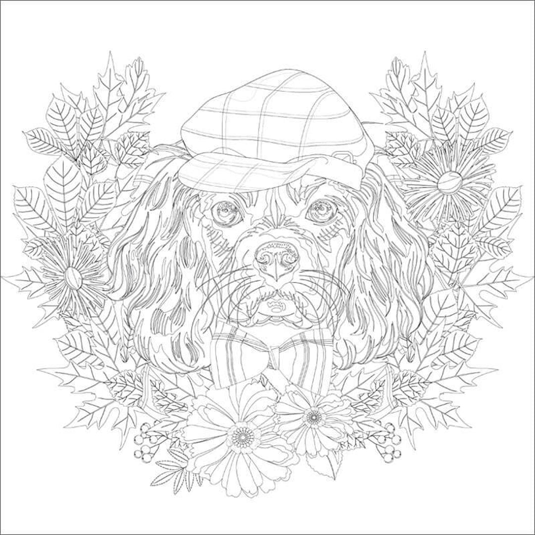 Phoenix Colouring Board Garden, 25x25 cm