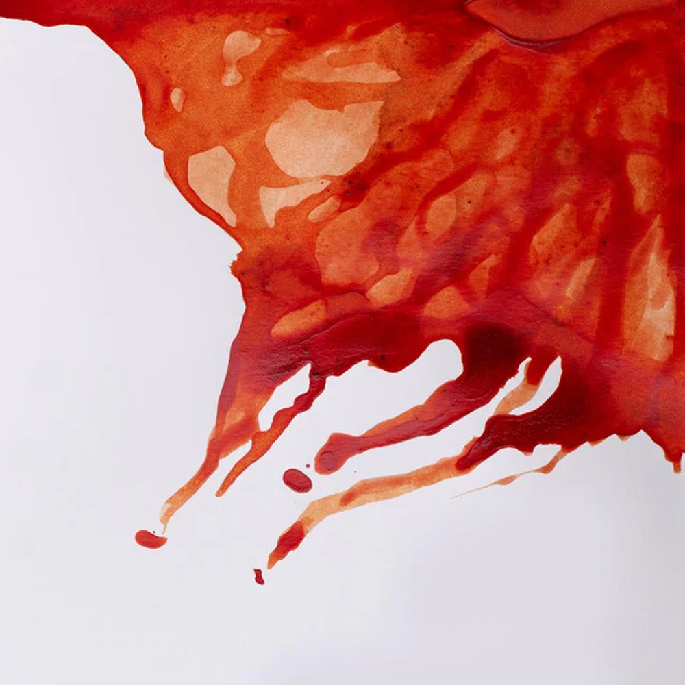 Winsor & Newton Drawing Ink