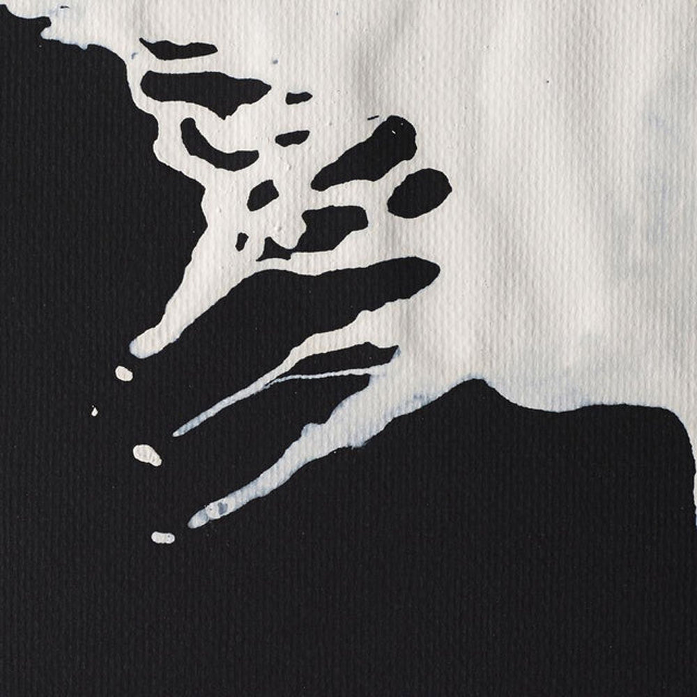 Winsor & Newton Drawing Ink