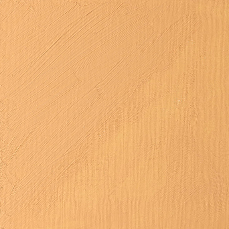 Winsor & Newton Artists' Oil Paint