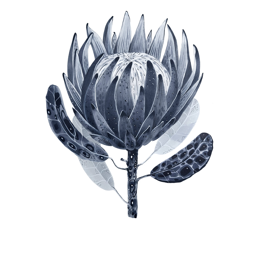 Copic Ciao SHADE Cool Gray&Black Markers Set, 6 pcs.