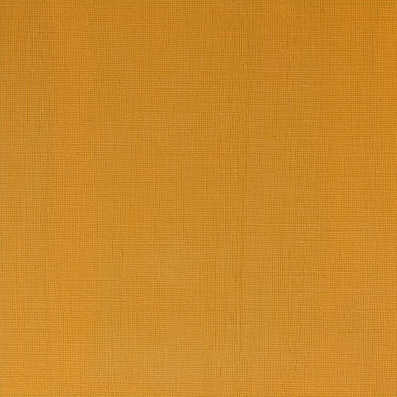 Winsor & Newton Professional Acrylic Paint