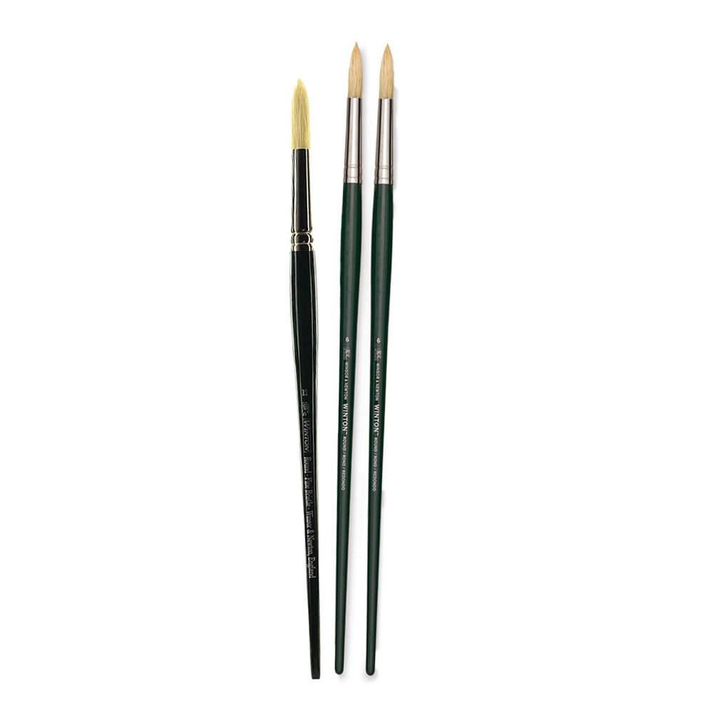 Winsor & Newton Winton Hog Round Brush