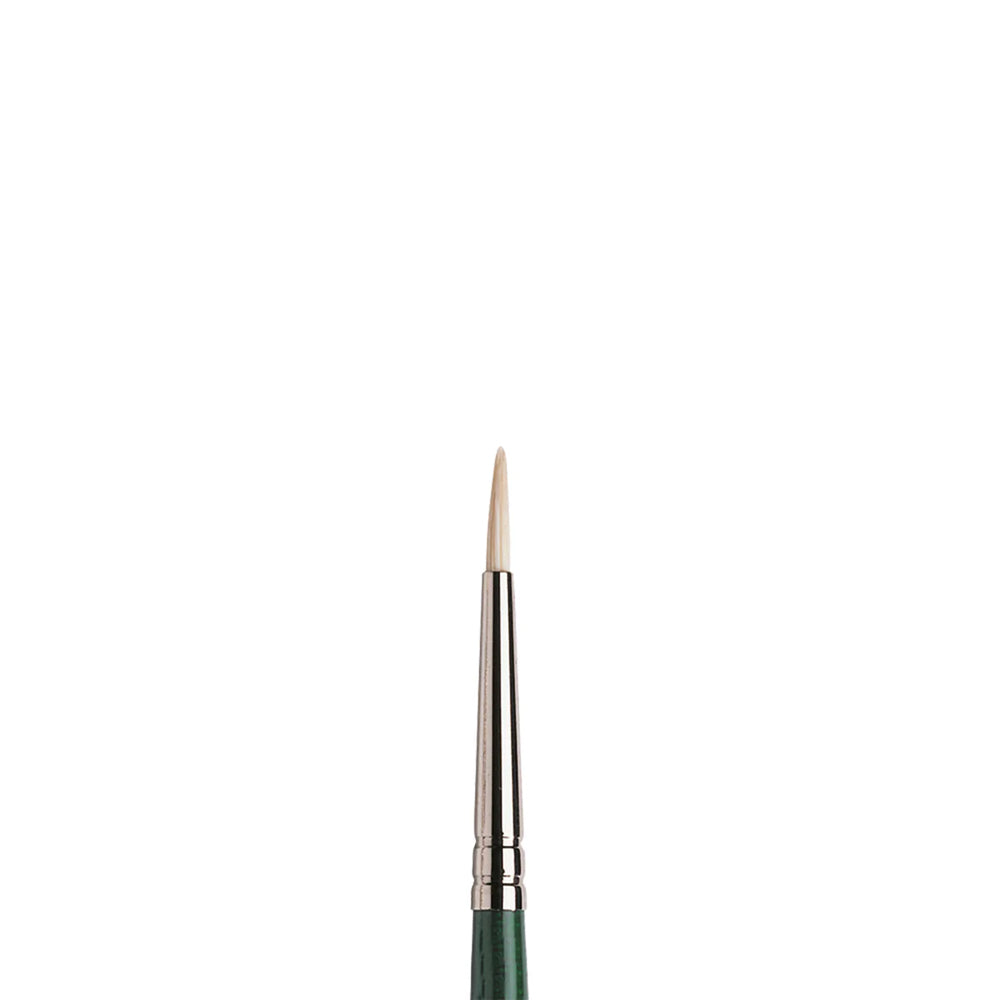 Winsor & Newton Winton Hog Round Brush