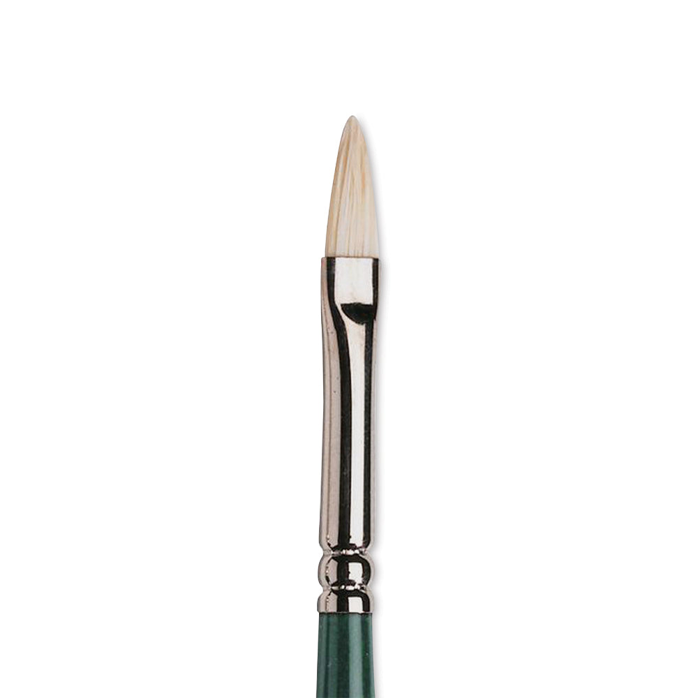 Winsor & Newton Winton Hog Filbert Brush