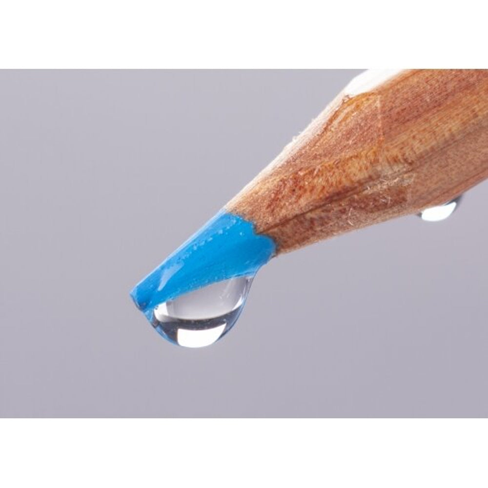 Bruynzeel Expression Watercolour Pencil Tin, 12 pcs.