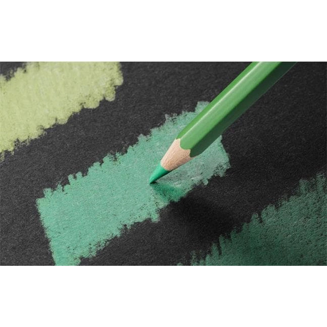 Caran d'Ache PABLO Colored Pencils Set of 12