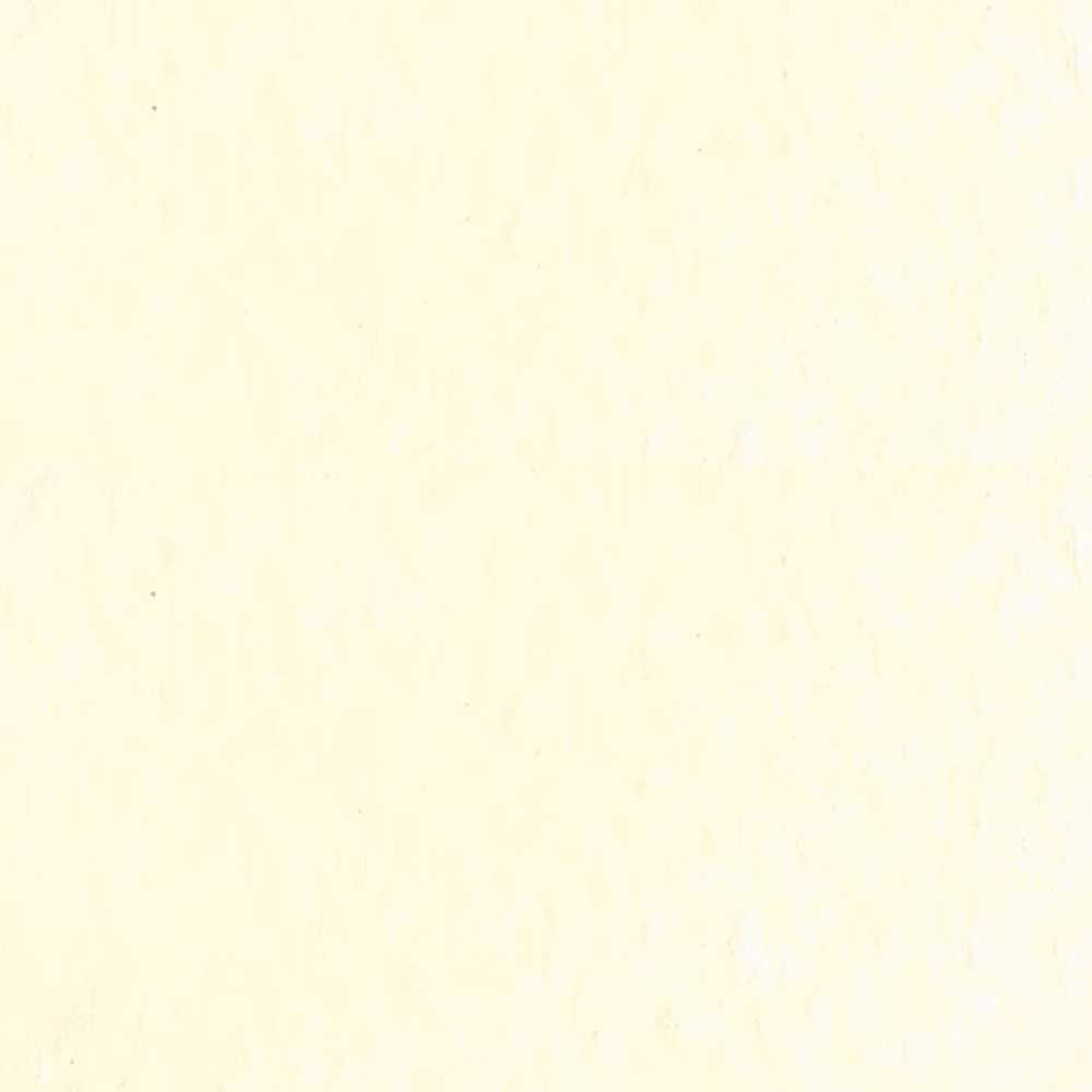 Caran d'Ache Neopastel Oil Pastel