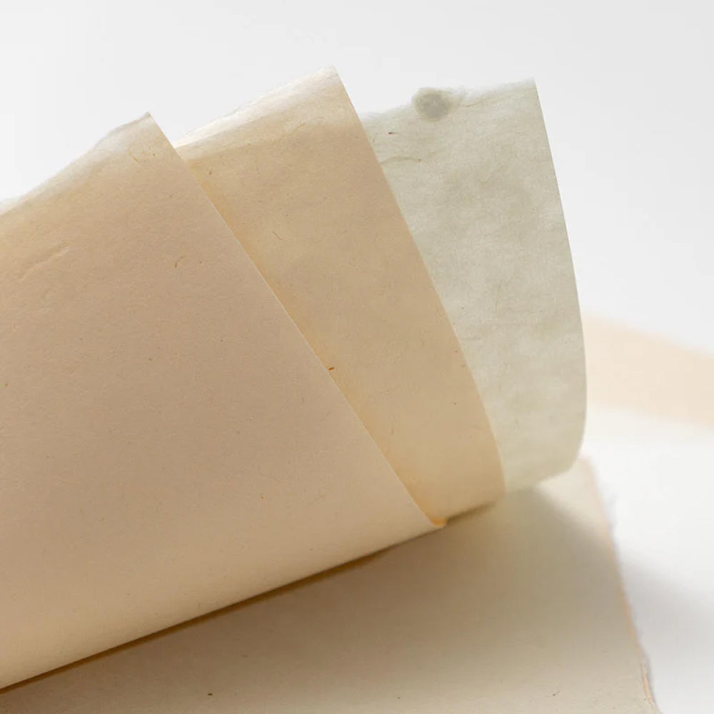 Awagami Editioning Japanese Paper Sample Pack, 10 Types, 20 Sheets