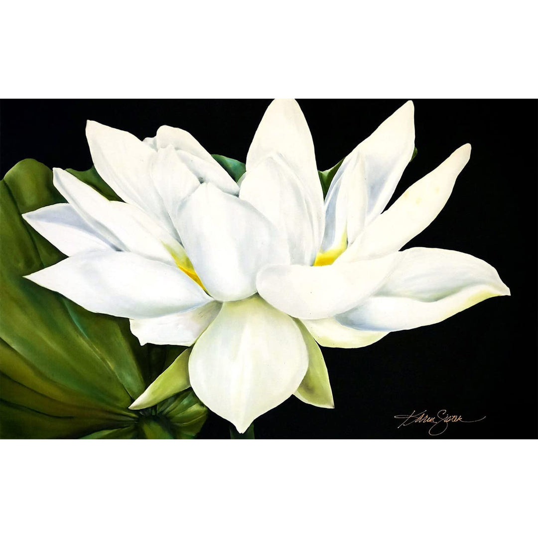 Jacquard Silk Colors Kit with Water-Based Resist