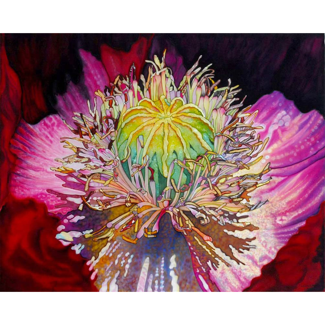 Jacquard Silk Colors Kit with Water-Based Resist