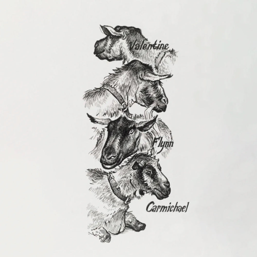 Faber-Castell Pitt Artist India Ink Pen Set, 4 pcs., Black, XS, S, F, M