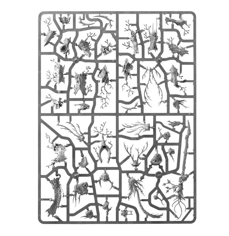 Warhammer Age of Sigmar Spearhead: Sylvaneth Miniature Set