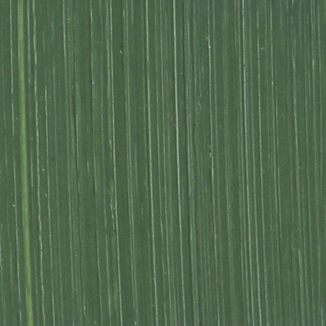 Michael Harding Oil Paint, Colours 63-117 (Part 2/2)