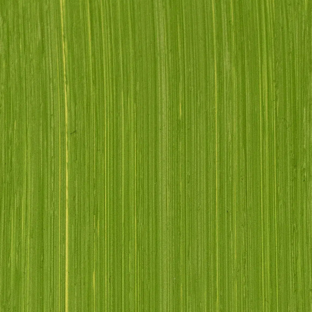 Michael Harding Oil Paint, Colours 63-117 (Part 2/2)