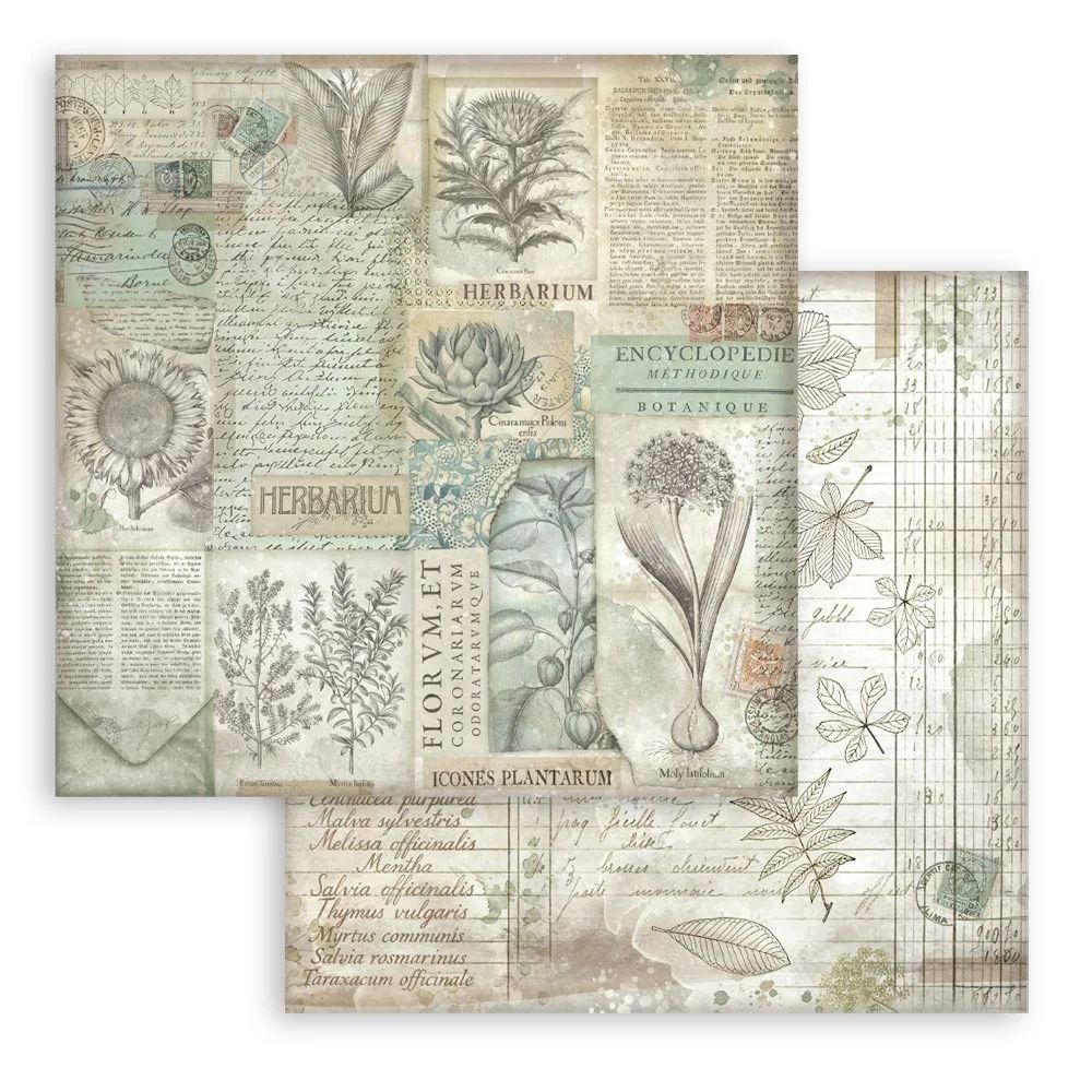 Stamperia Double-Sided Scrapbooking Paper Set - Herbarium Silvae Backgrounds Selection, 10 units