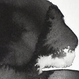 Winsor & Newton Professional Watercolour Cubes, Half Pan, colours 1-59 (part 1/2)