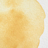 Winsor & Newton Professional Watercolour Cubes, Half Pan, colours 1-59 (part 1/2)