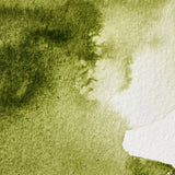 Winsor & Newton Professional Watercolour Cubes, Half Pan, colours 1-59 (part 1/2)