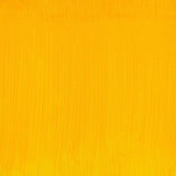 Winsor & Newton Artists' Oil Paint