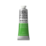 Winsor & Newton Winton aliejiniai dažai, 37 ml