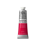 Winsor & Newton Winton aliejiniai dažai, 37 ml