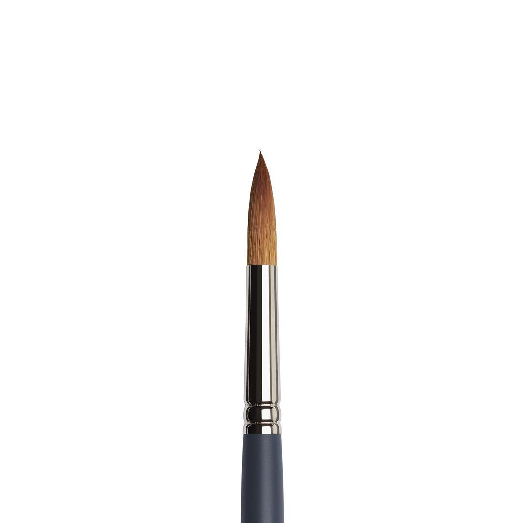 Winsor & Newton Professional apvalus sintetinis akvarelinis teptukas