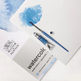 Winsor & Newton Cotman akvarelinis apvalus teptukas, serija 111