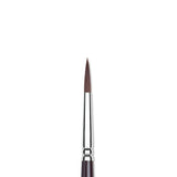 Winsor & Newton Galeria apvalus teptukas