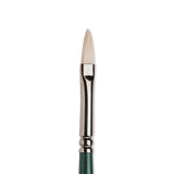 Winsor & Newton Winton Hog Filbert teptukas