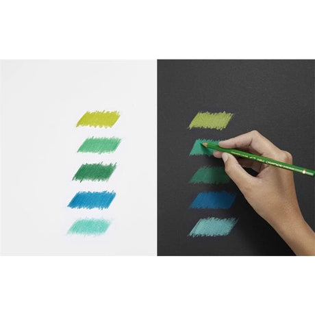 Caran d'Ache PABLO Colored Pencils