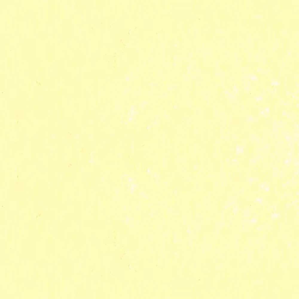 Caran d'Ache Neopastel Oil Pastel
