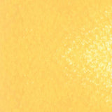 Caran d'Ache Neopastel Oil Pastel