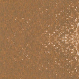 Caran d'Ache Neopastel Oil Pastel