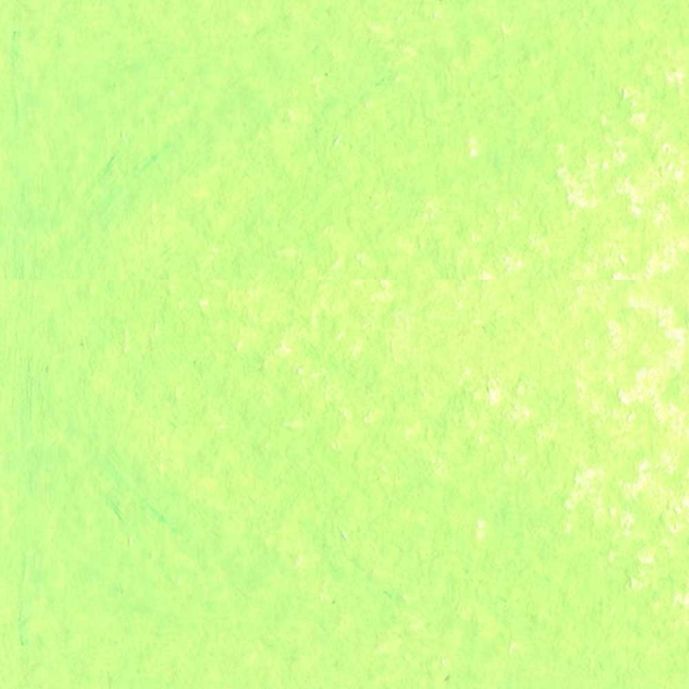 Caran d'Ache Neopastel Oil Pastel