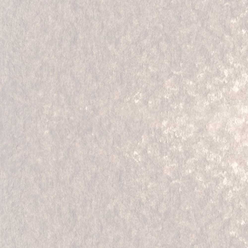Caran d'Ache Neopastel Oil Pastel