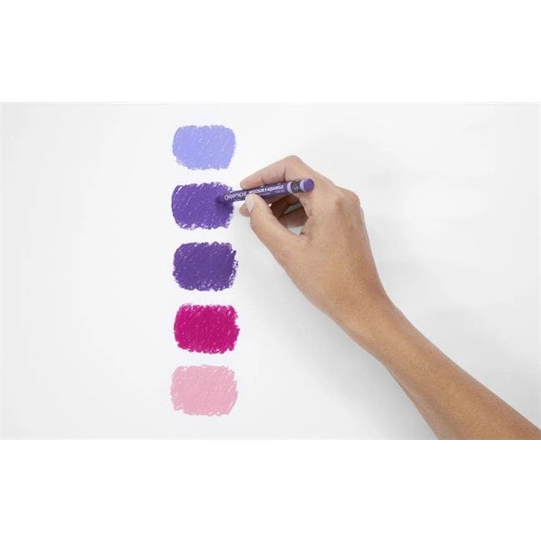 Caran d'Ache NEOCOLOR Water-Soluble Wax Oil Pastels Set of 15