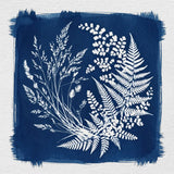 Jacquard Cyanotype Set