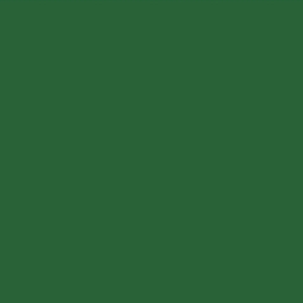 Holbein Irodori Artists’ guašas tūbelėse