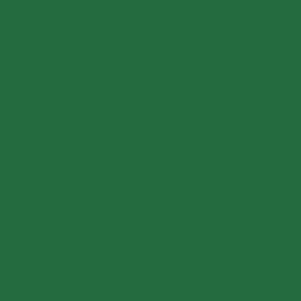 Holbein Irodori Artists’ guašas tūbelėse