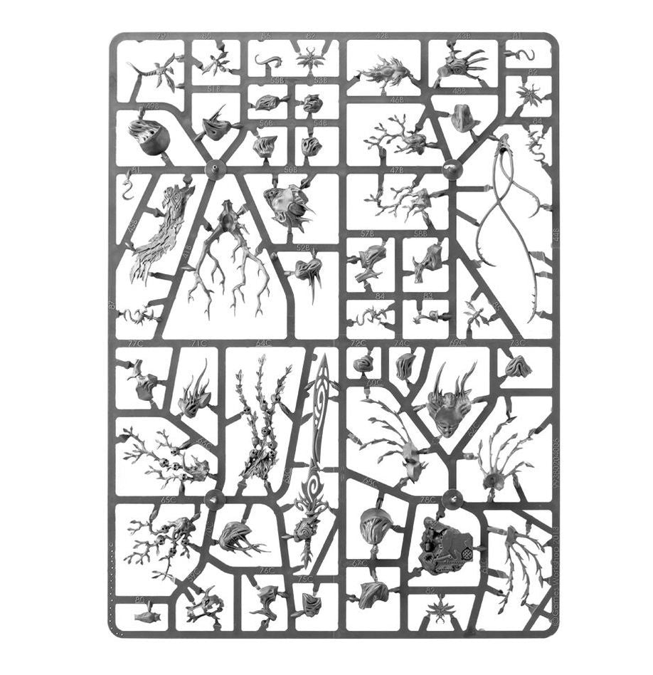 Warhammer Age of Sigmar Spearhead: Sylvaneth Miniature Set