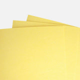 Masterson Sta-Wet Premier Wet Palette Sponge Refill Pack, 3 pcs.